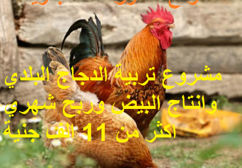 اصدار اقامة للزوجة اول مرة 2014 edition