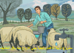 دراسة جدوي تربية الاغنام