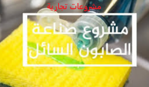 دراسة جدوي مشروع صناعة المنظفات