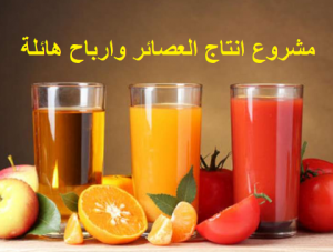 دراسة جدوي مشروع صناعه المربة