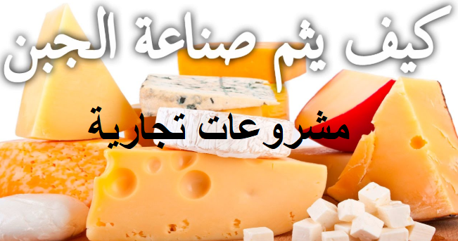 مشروع صناعة الجبن الابيض